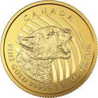 Call of the Wild Gold Coins