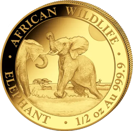1/2 oz Somalia Elephant Gold Coin | 2024
