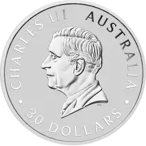 1 Kilo Koala Silver Coin | 2026