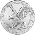 1 oz American Eagle Silver Coin | 2026