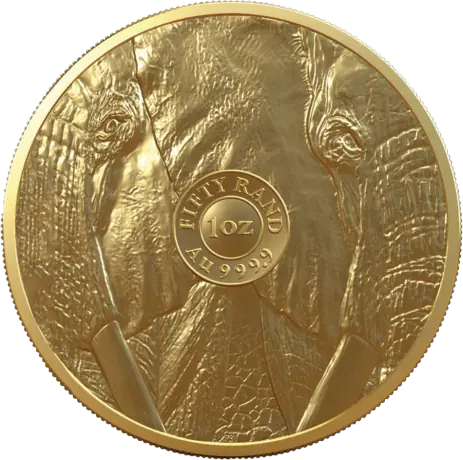 1 oz Big 5 Elephant Pi&egrave;ce d'Or | 2022