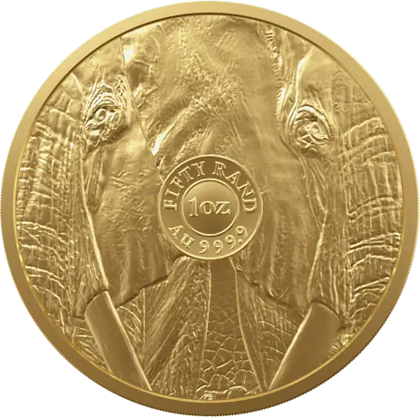 1 oz Wielka Piątka Afryki Słoń Złota Moneta | 2023