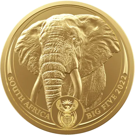 1 oz Wielka Piątka Afryki Słoń Złota Moneta | 2023