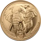 1 oz Big Five Elephant Gold Coin | 2024