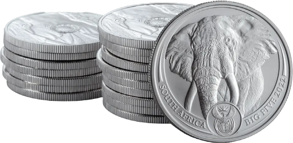 1 oz Big 5 Elephant Platinm&uuml;nze | 2023