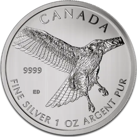 1 Uncja Drapieżne Ptaki Myszoł&oacute;w Rdzawosterny Srebrna Moneta | 2015
