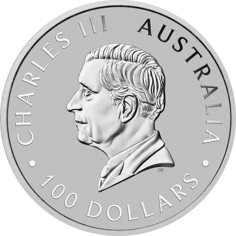 1 oz Kangaroo Platinum Coin | 2026