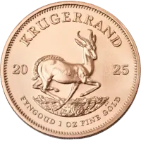 Krugerrand Coins 2025