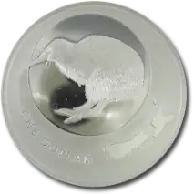 1 oz New Zealand Kiwi | Silver | 2009