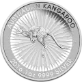 1 oz Silver Coin | Damaged