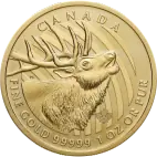 1 oz Call of the Wild The Elk .99999 Gold Coin (2017)