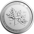 10 oz Magnificent Maple Leaf Silver Coin | Mixed Years