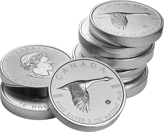 2 унции Канадский Гусь Серебряная Монета 2020