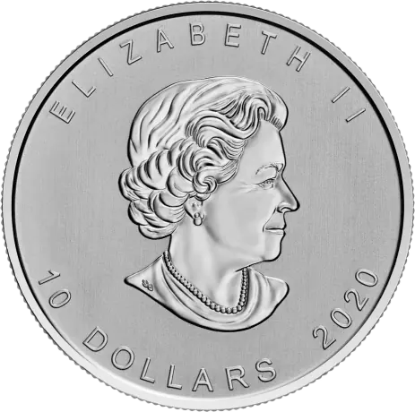 2 oz Canada Goose Silbermünze (2020)