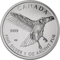 Birds of Prey Silver Coins