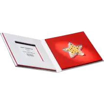 5 x 1g CombiBar Star | Gold | Valcambi | Glittering Stars